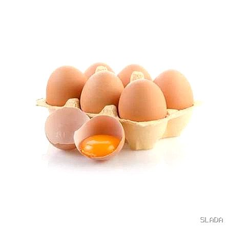 Telur Ayam