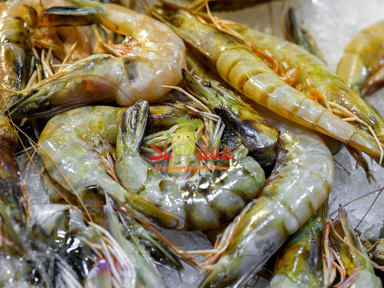 Udang Vaname BBQ — Seafood segar | Slada.co