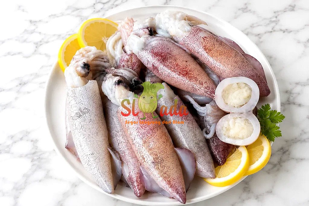 Cumi Telur — Seafood segar | Slada.co