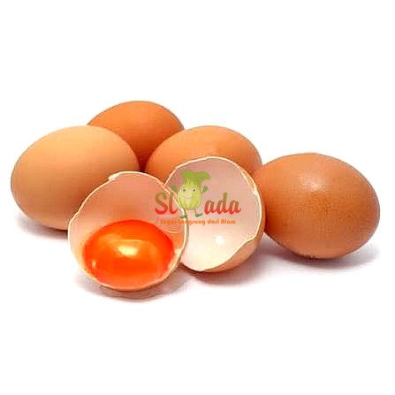 Telur Ayam Omega