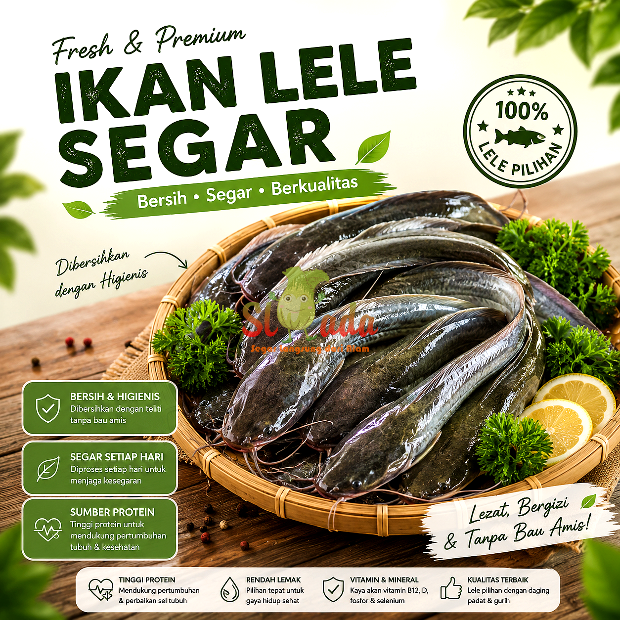 Ikan Lele